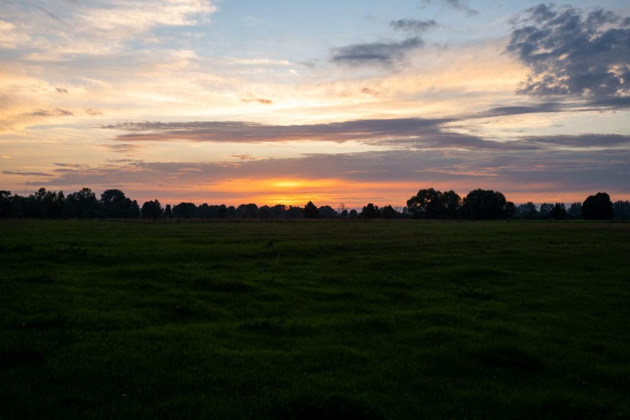 Bizon Landsteder Sadowne