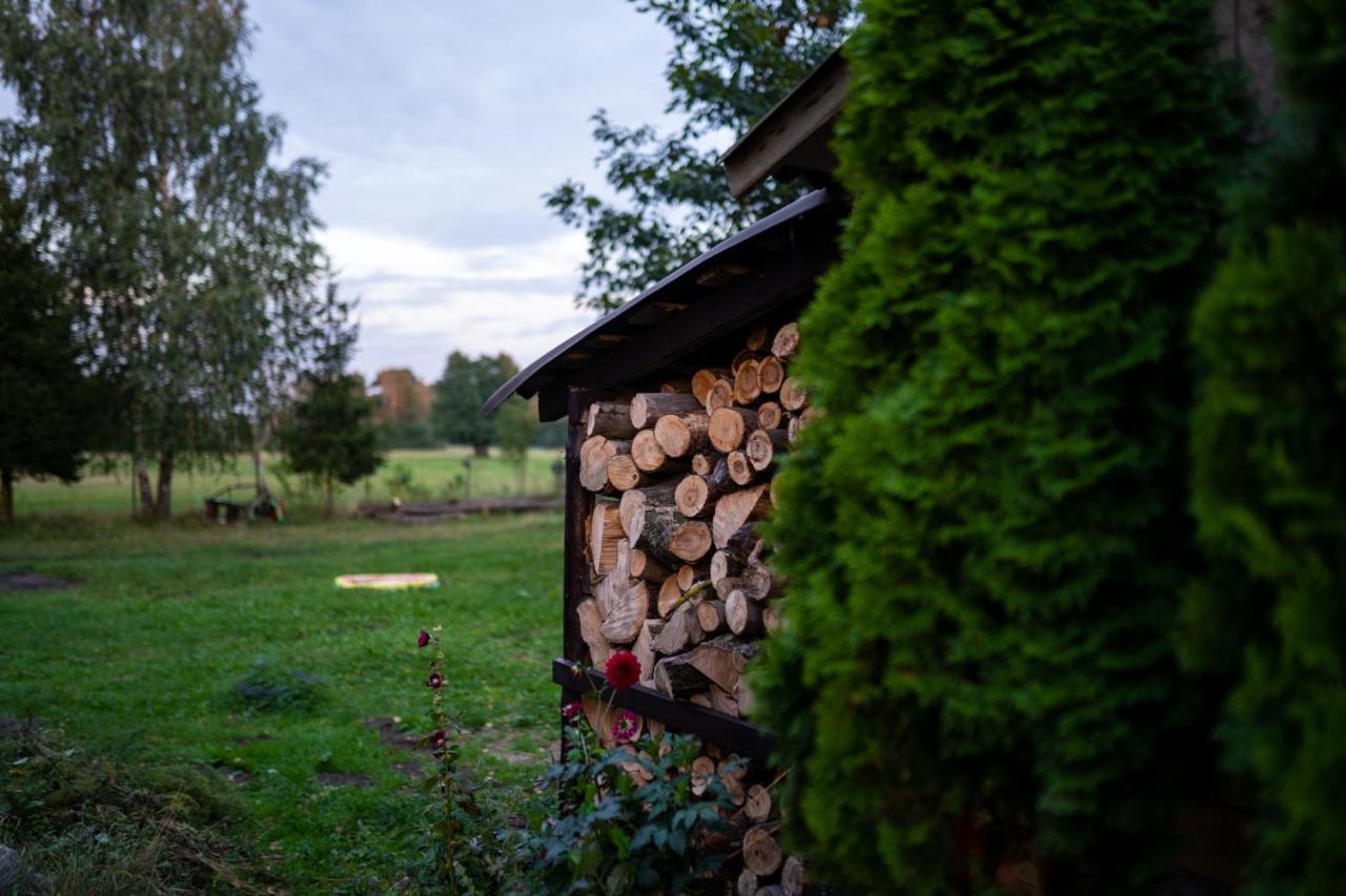 Bizon Landsteder *