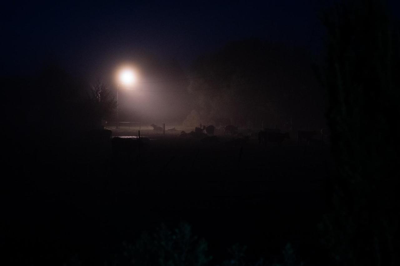 Bizon Landsteder