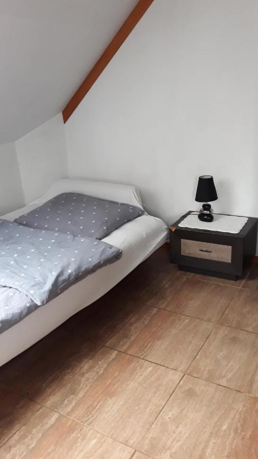 Bizon Landsteder Sadowne