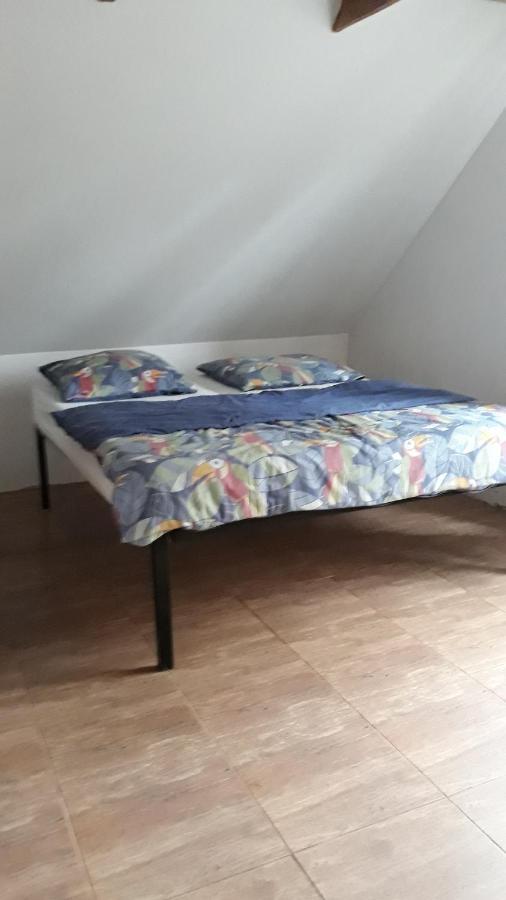 Landsteder Bizon