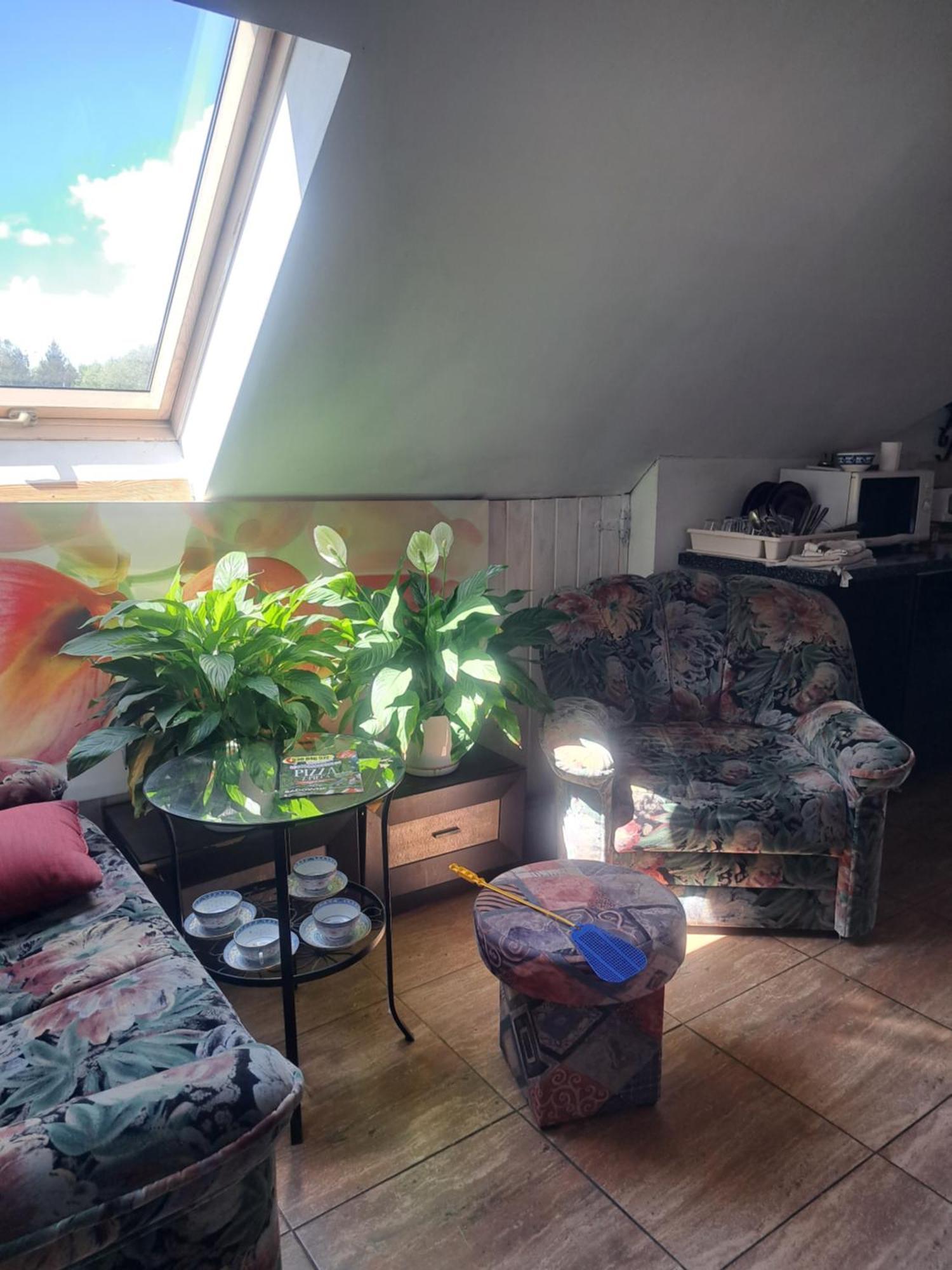 Bizon Country house