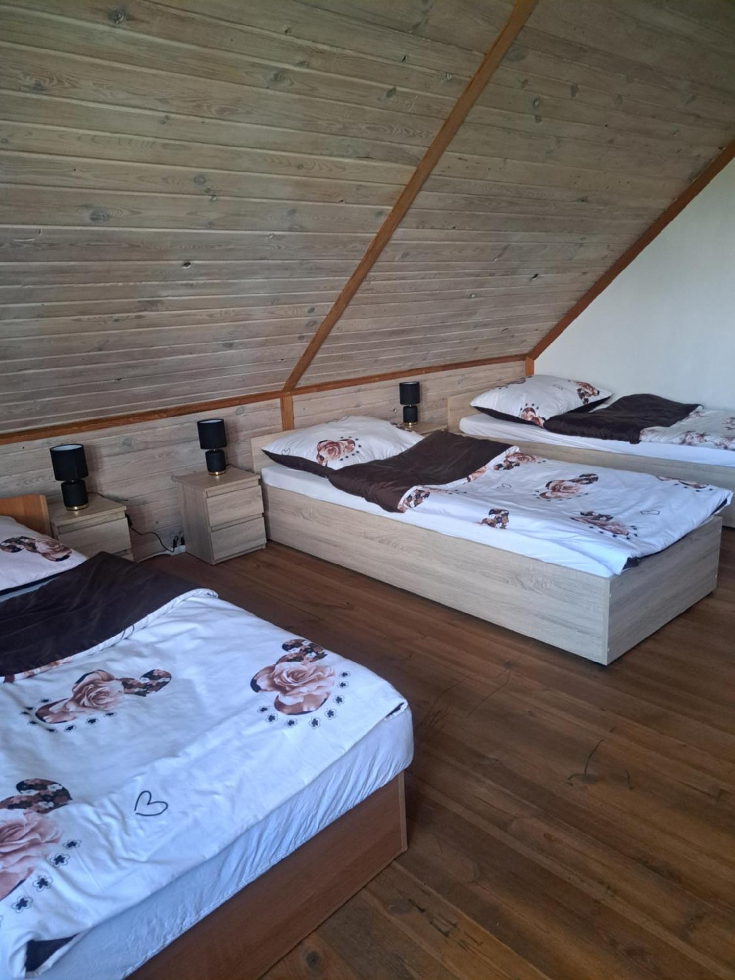 Country house Bizon Sadowne