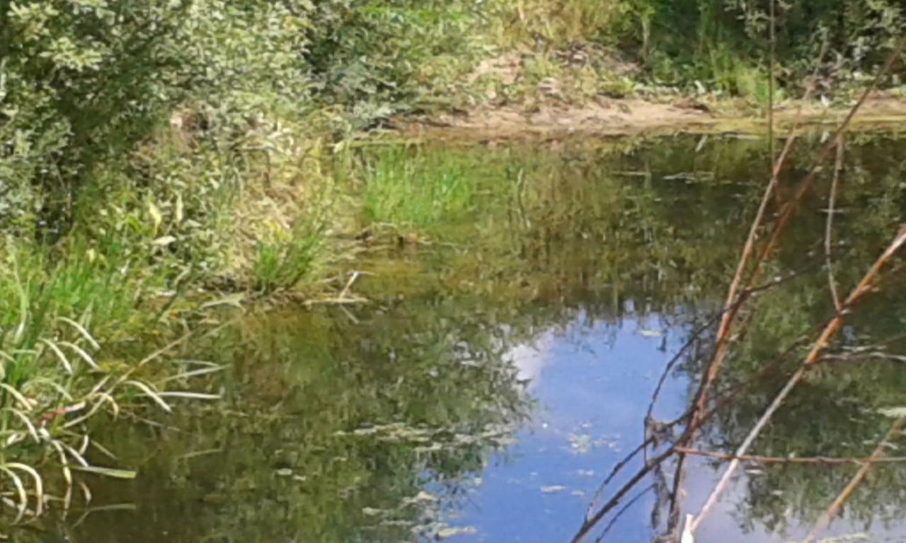 Landsteder Bizon Sadowne