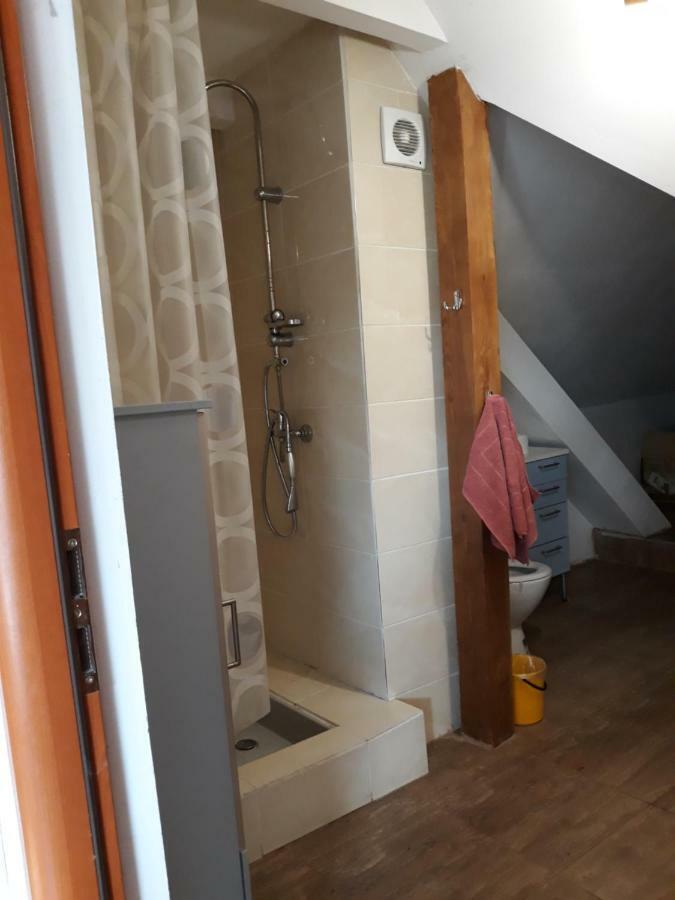 Bizon Landsteder Sadowne