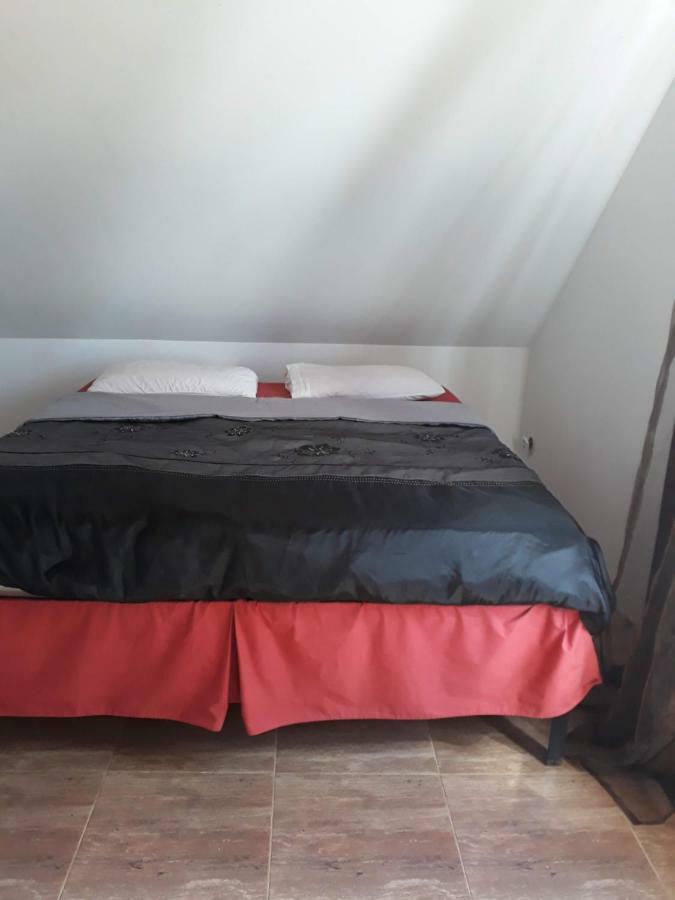 Bizon Landsteder *