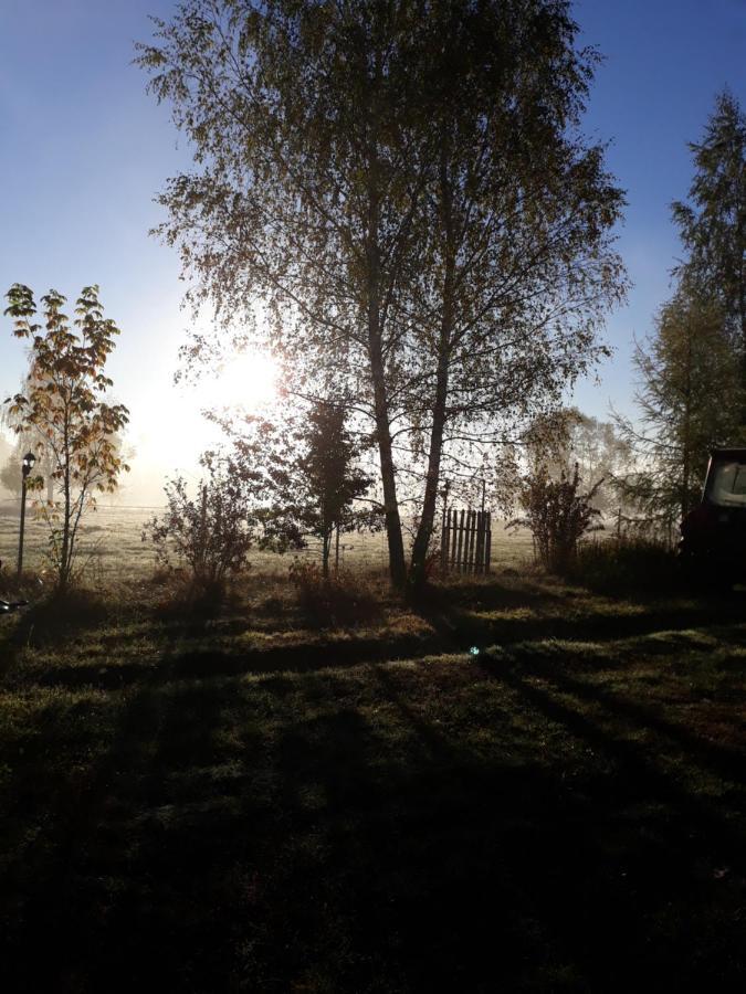 Country house Bizon Sadowne